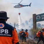 BNPB Perkuat Penanganan Karhutla di Way Kambas, Kawasan Konservasi Jadi Perhatian