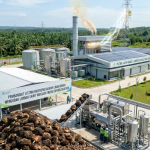 Limbah Sawit Berpotensi Jadi Sumber Listrik, Riset BRIN Buka Peluang Energi Alternatif