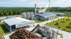 Limbah Sawit Berpotensi Jadi Sumber Listrik, Riset BRIN Buka Peluang Energi Alternatif