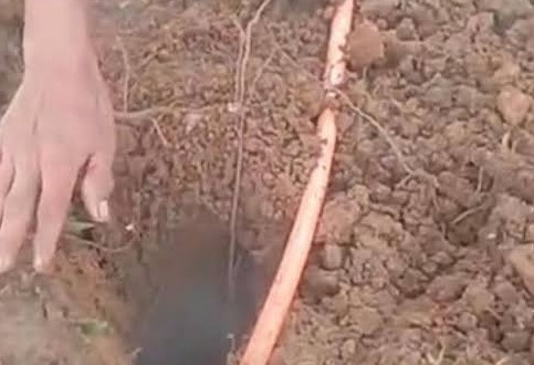 Viral Asap Keluar dari Dalam Tanah di Mamuju, BPBD Minta Warga Jangan Mendekat