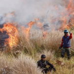 Duka di Bromo! Empat Orang Tewas Saat Berjuang Memadamkan Kebakaran Hutan